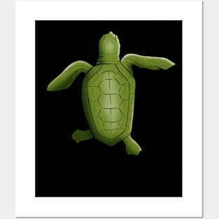 Baby Turtle Posters and Art